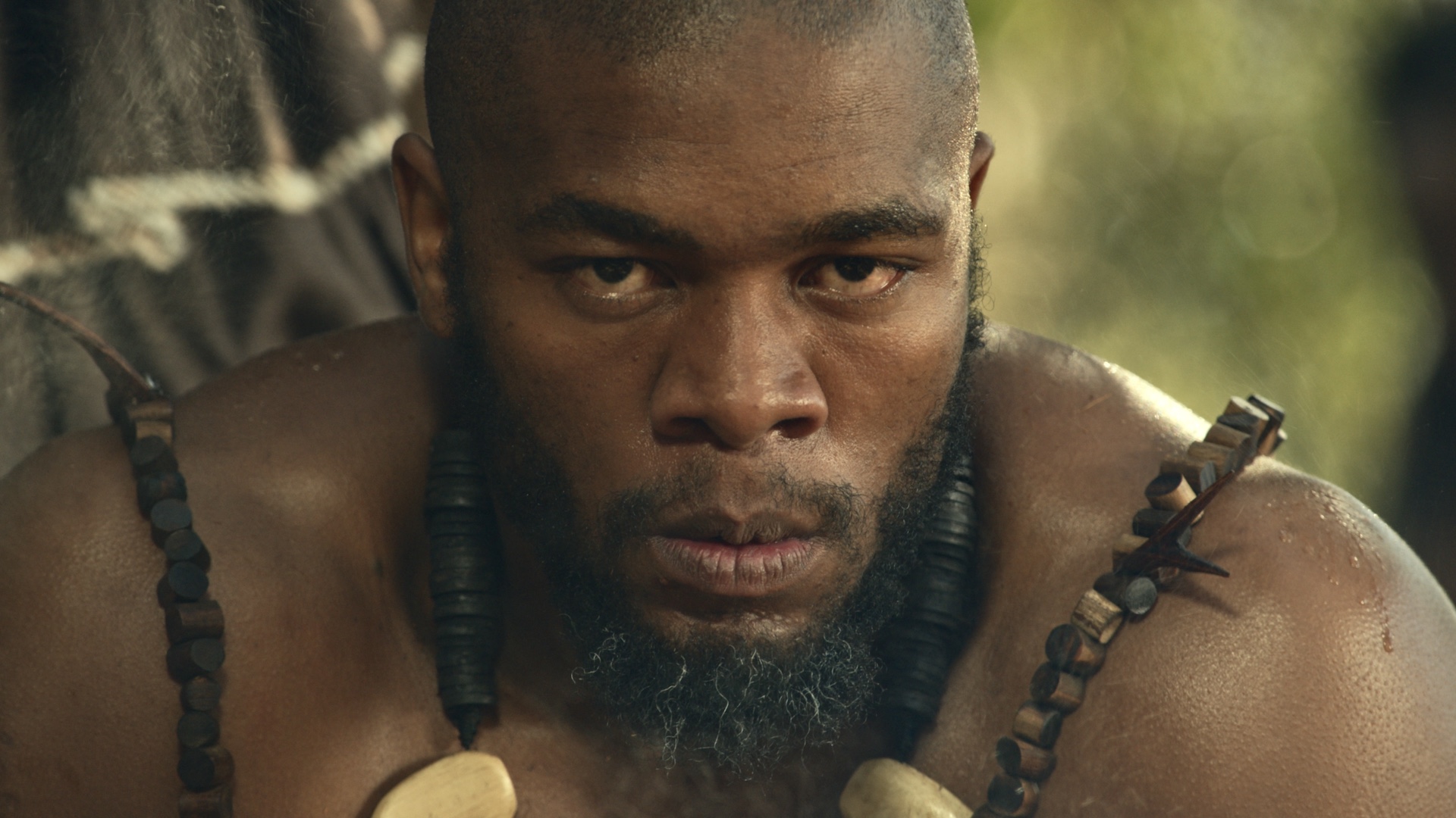 Shaka iLembe S1 on Showmax