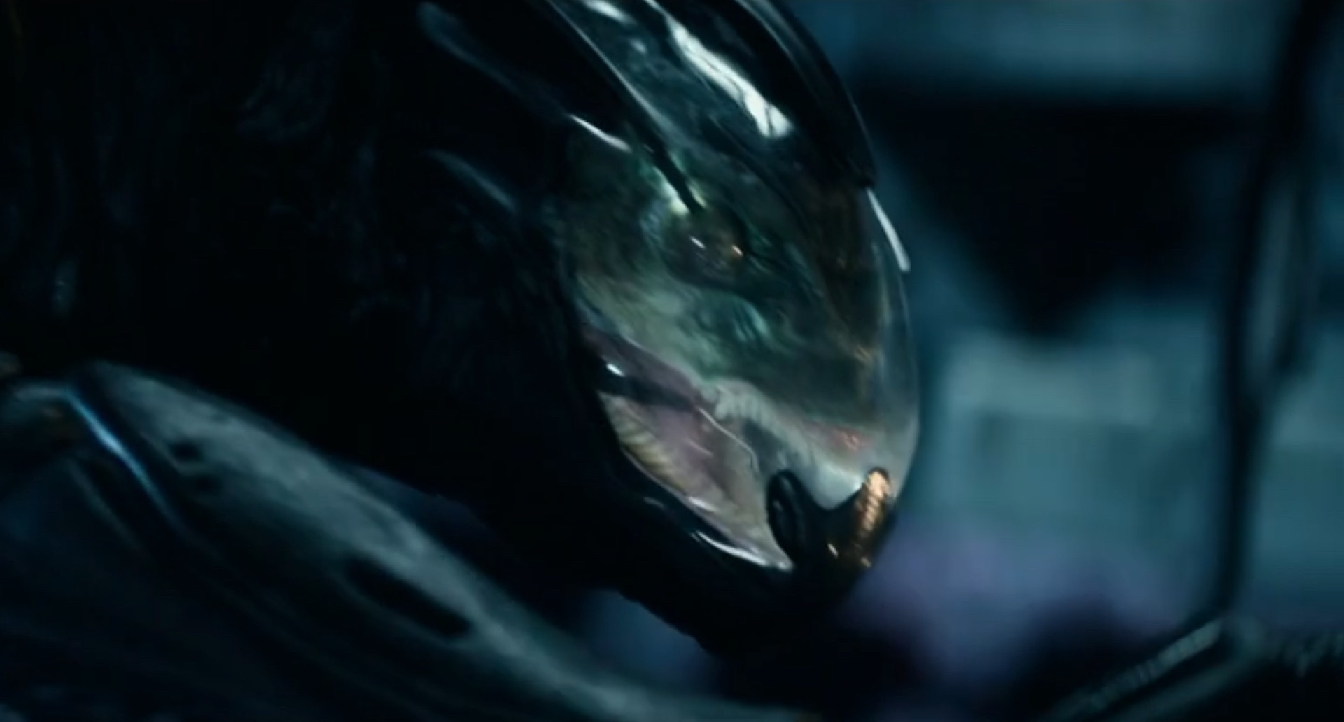Star Trek_2024_Strange New Worlds